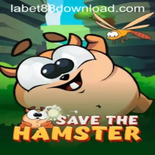 Exploring SavetheHamster: A Unique Gaming Experience in the Digital Age