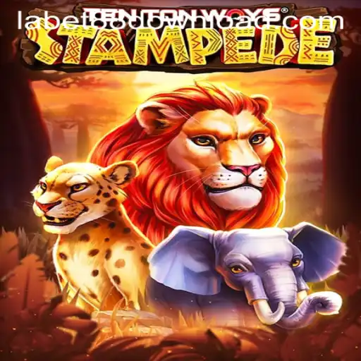 Exploring the Thrills of TenTonWaysStampede and LaBet88 App Login